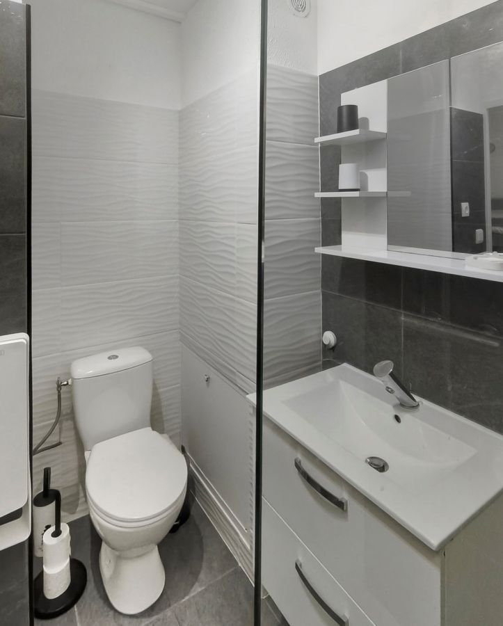 Vasque et WC