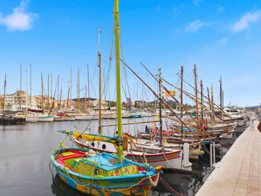 Les pointus colorés du port