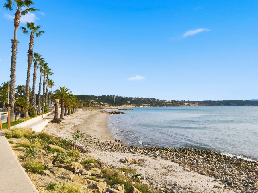 Plages et palmiers